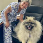 Dog with Westport, CT 1st Selectwoman