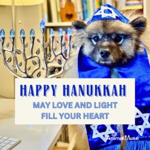 dog sitting with a menorah