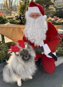 Dog sitting with Santa