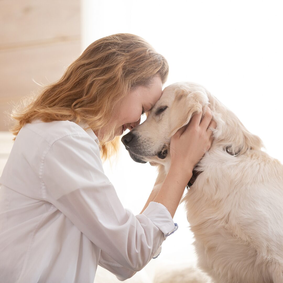 Woman gently holding her dog close, forehead touching in a quiet moment of love and connection during pet loss