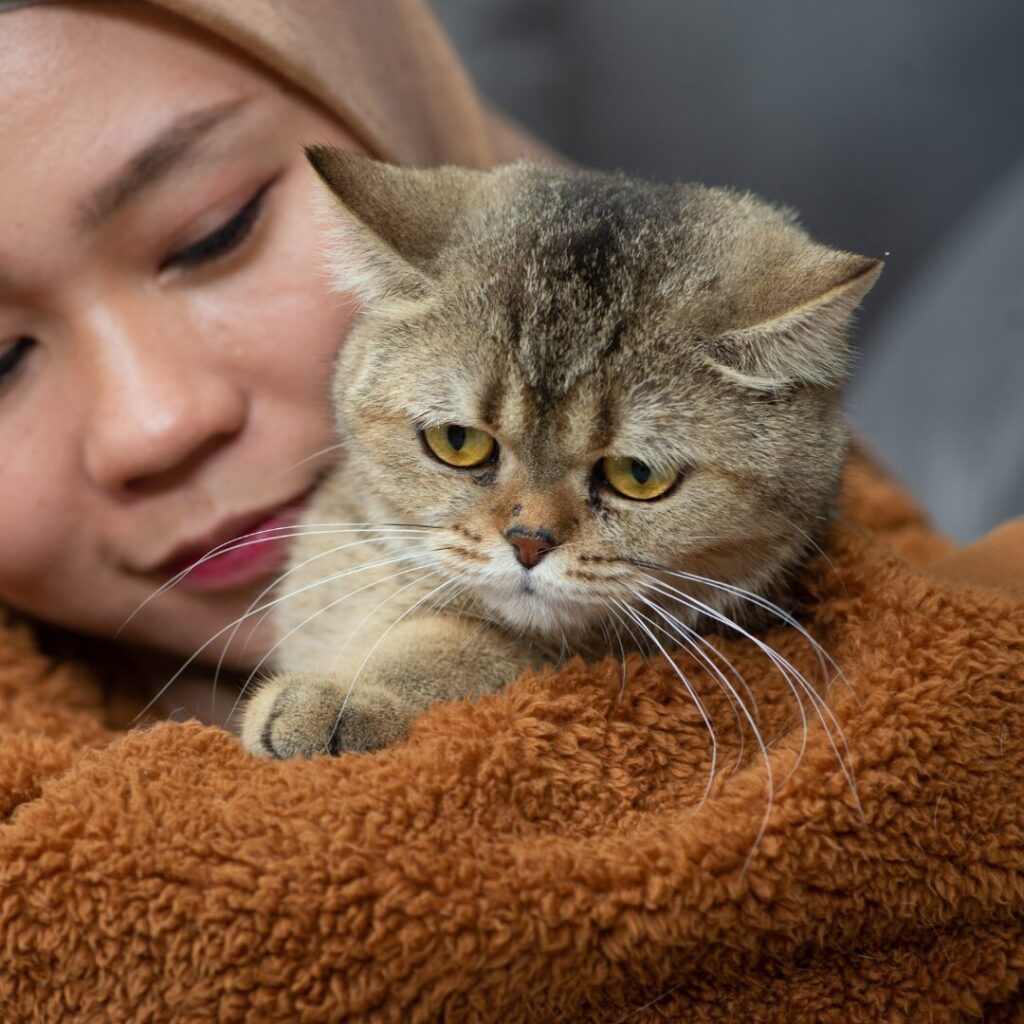 Person holding their cat close in a quiet, emotional moment reflecting the sadness and tenderness of pet loss