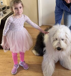 Young girl in a pink dress standing next to a large fluffy dog, gently petting it while an adult stands nearby